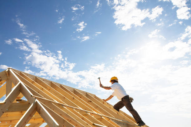 Best Roof Moss and Algae Removal  in Slocom, AL